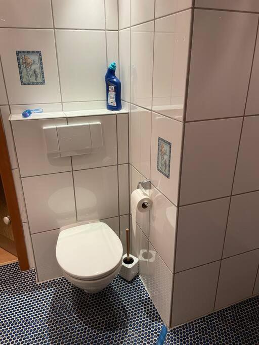 Apartment Im Pfaelzerwald Lambrecht  エクステリア 写真